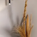 Of